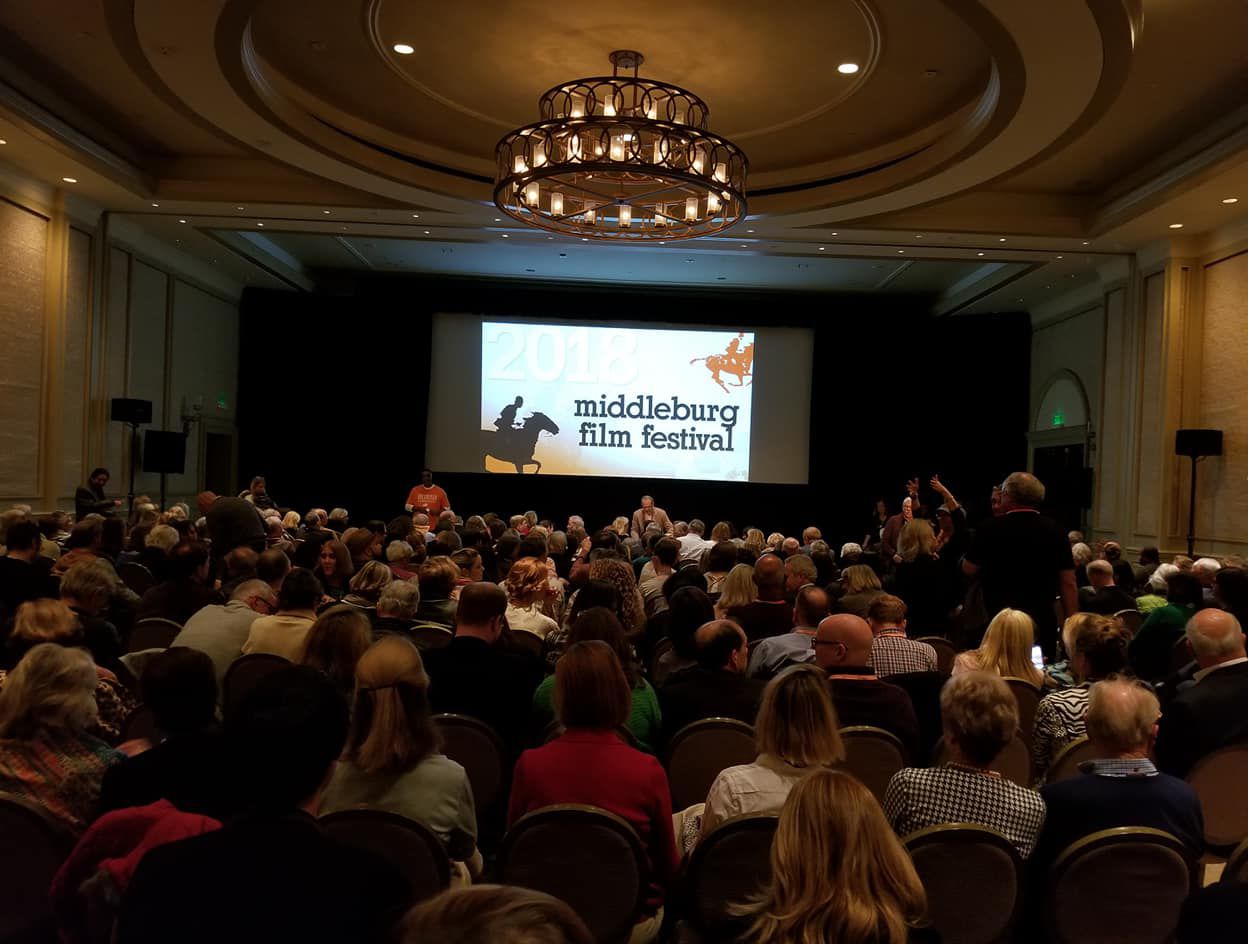 MFF crowd 2018
